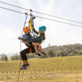 A Comprehensive Guide to Family-Friendly Wine Events in Central California